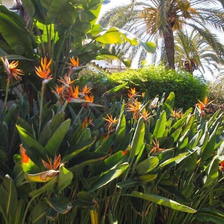 Belvilla By Oyo Golden Beach House ماربيا المظهر الخارجي الصورة