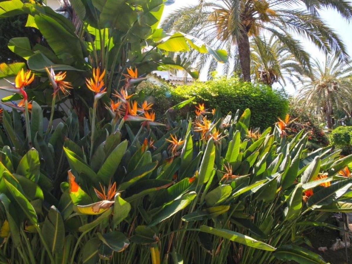 Belvilla By Oyo Golden Beach House ماربيا المظهر الخارجي الصورة